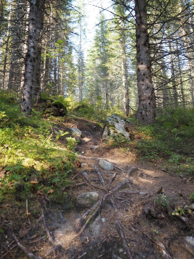 Sylte * Fauske